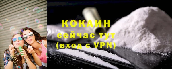 ГАЛЛЮЦИНОГЕННЫЕ ГРИБЫ Ельня
