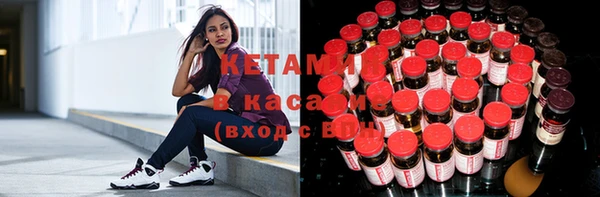 ГАЛЛЮЦИНОГЕННЫЕ ГРИБЫ Ельня