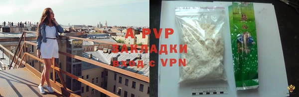 ГАЛЛЮЦИНОГЕННЫЕ ГРИБЫ Ельня