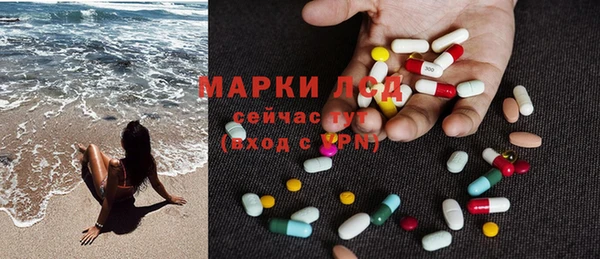 ГАЛЛЮЦИНОГЕННЫЕ ГРИБЫ Ельня