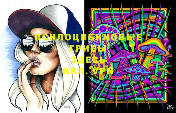 эйфоретик Елизово