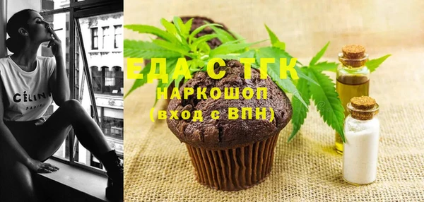 ГАЛЛЮЦИНОГЕННЫЕ ГРИБЫ Ельня