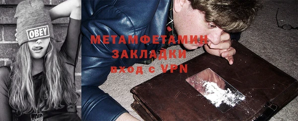 ГАЛЛЮЦИНОГЕННЫЕ ГРИБЫ Ельня