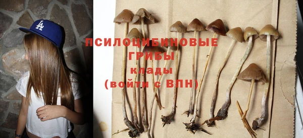 эйфоретик Елизово